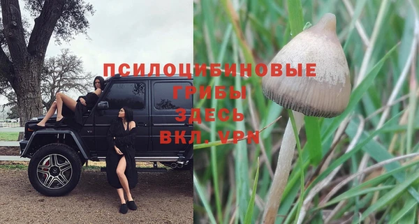 МДПВ Балахна