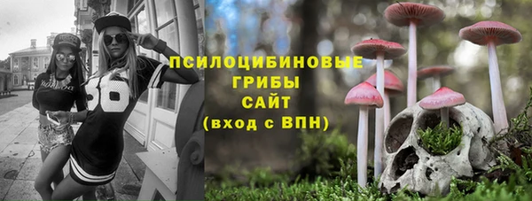 МДПВ Балахна