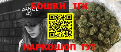 молекула духа Будённовск