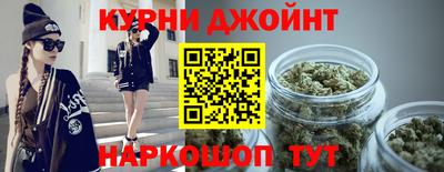 молекула духа Будённовск