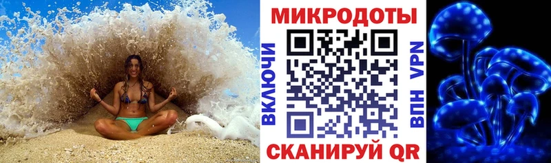 Псилоцибиновые грибы Psilocybe  Горно-Алтайск 