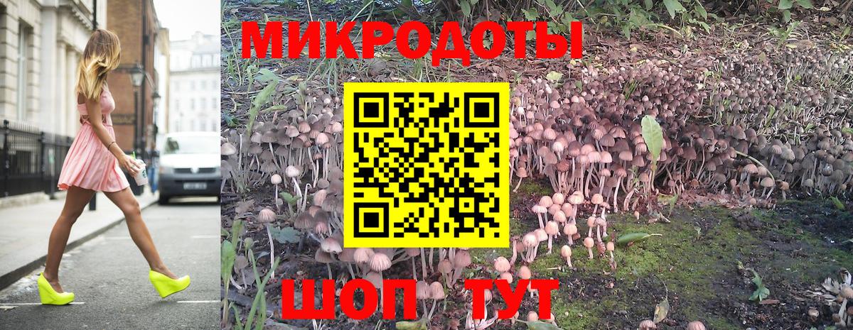 Псилоцибиновые грибы Cubensis  Вход с VPN  Горно-Алтайск 
