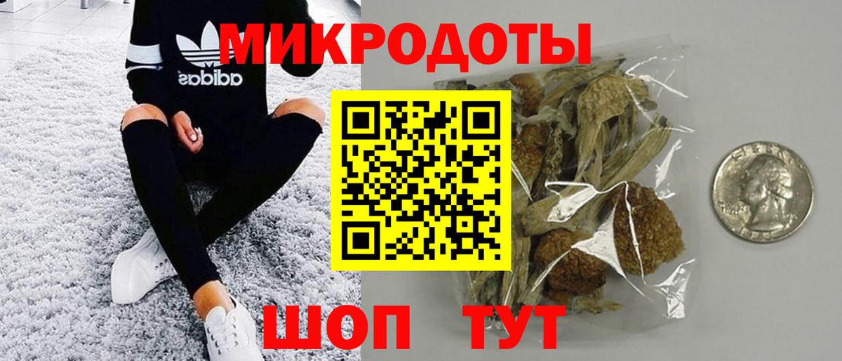 Галлюциногенные грибы Psilocybe Горно-Алтайск