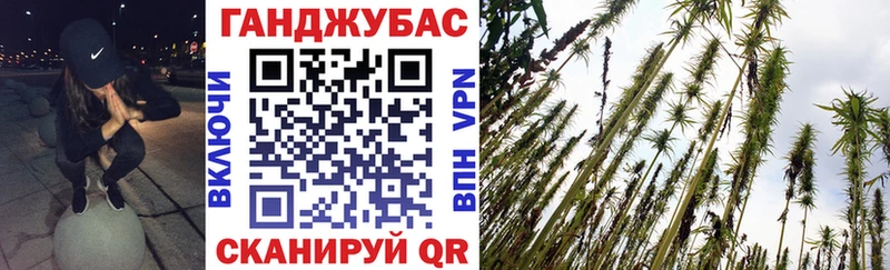 Шишки марихуана план  Горно-Алтайск 